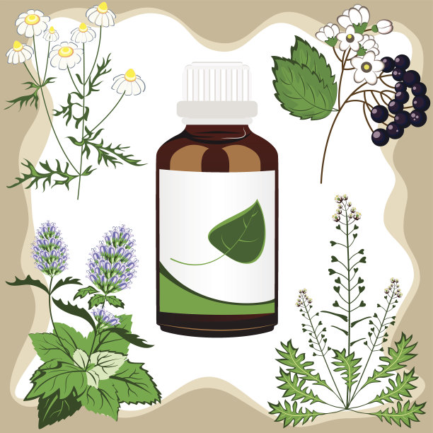 带瓶子的药用草本植物矢量图图片下载