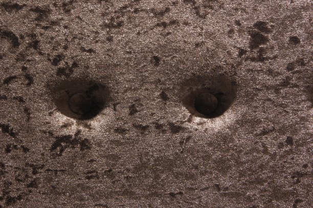 棕色的靠垫是美丽的背景。图片下载