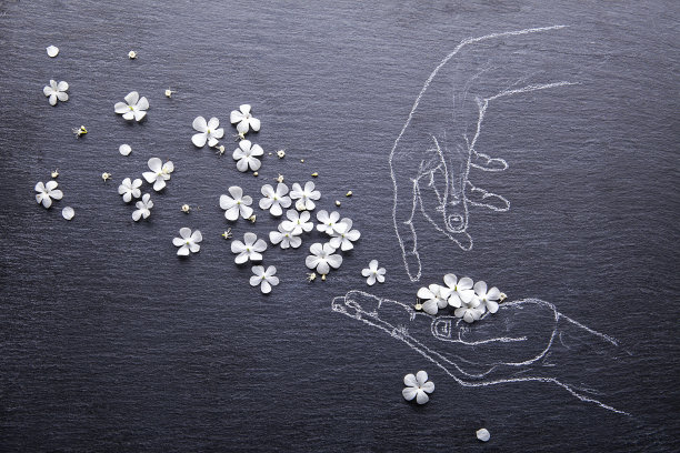 白花从手中飞起图片下载