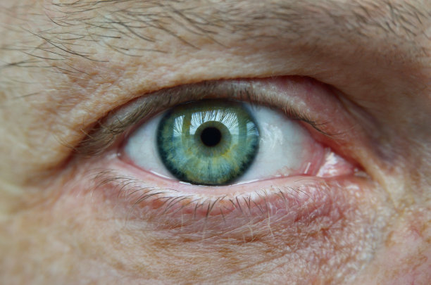 一只成年雄性的眼睛，绿色阴影，特写图片下载