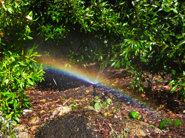 洒水车里的彩虹图片下载