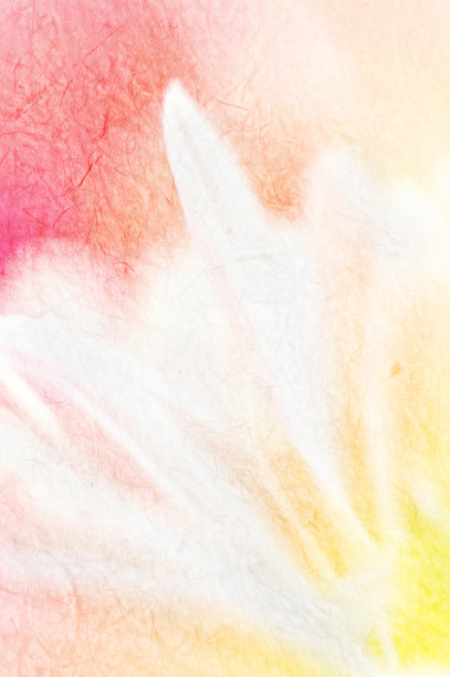 以鲜艳的菊花花瓣为背景图片下载