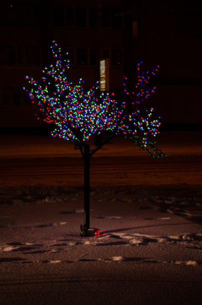 树与灯泡图片下载