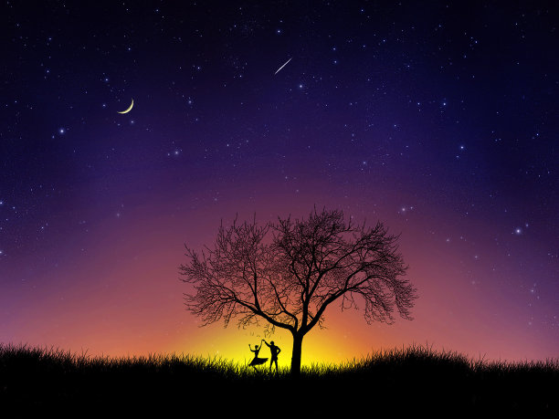 在日出的树上跳舞的一对图片下载