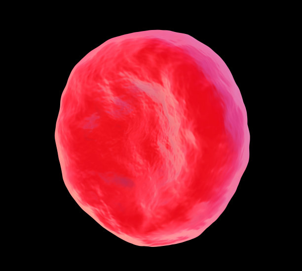 红细胞图片下载