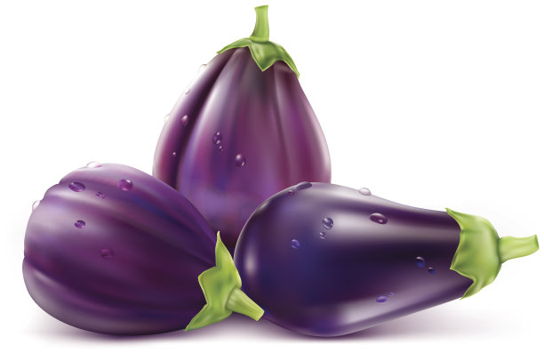 茄子，茄子图片下载