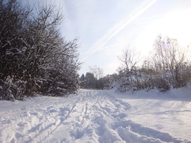 冰冻的雪路图片下载