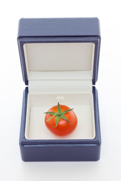 番茄的礼物图片下载