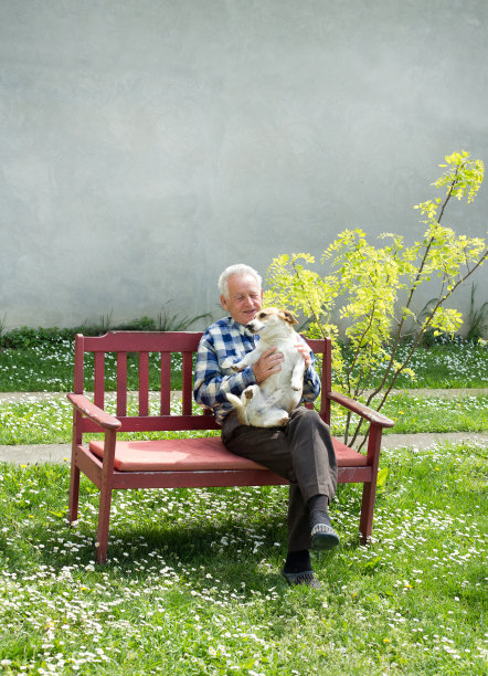 男人和狗玩图片下载