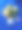 木头海葵图片下载