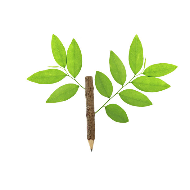 铅笔是木头做的。图片下载