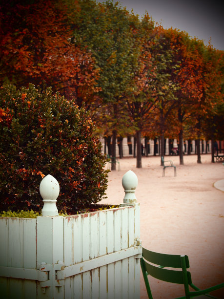 巴黎公园里的秋天图片下载