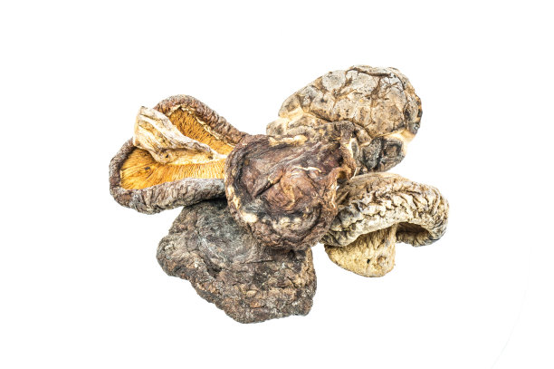 干蘑菇图片下载