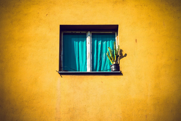 墙壁，窗户和仙人掌。图片下载