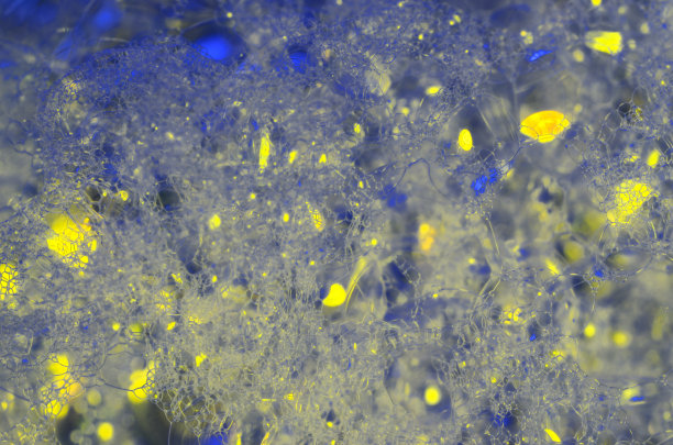 泡沫的肥皂水图片下载