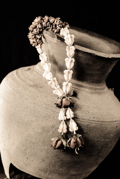 干加花图片下载