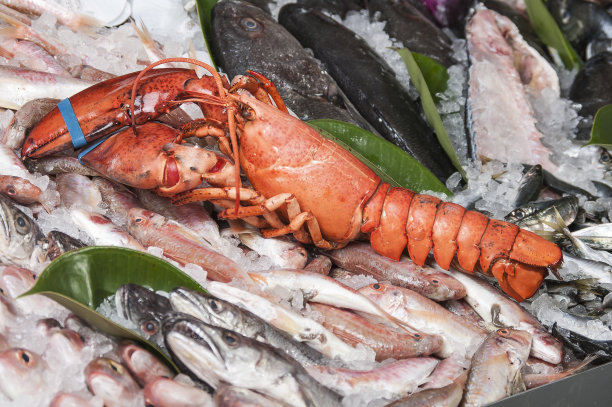 鱼,新鲜捕获图片下载