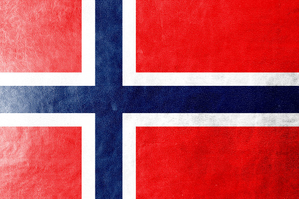 绘制在皮革纹理上的挪威国旗图片下载