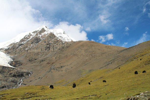 卡罗拉冰川图片下载