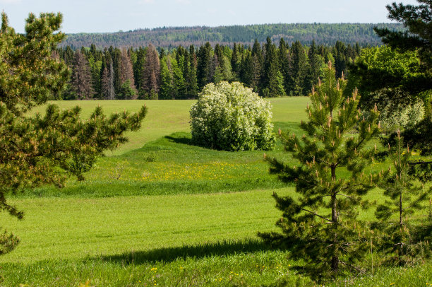 夏天的风景图片下载