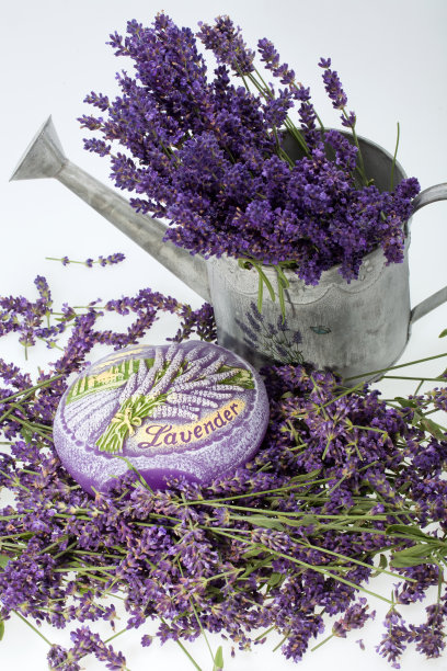 喷壶，蜡烛和薰衣草图片下载