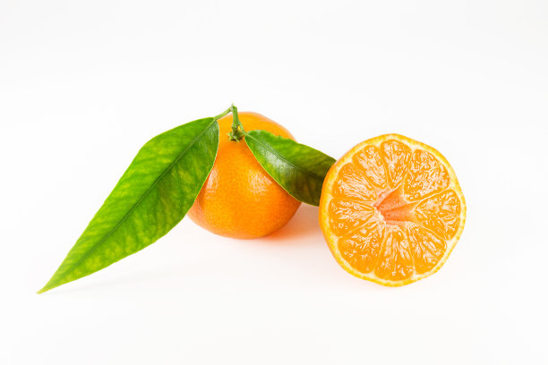 白底普通话图片下载