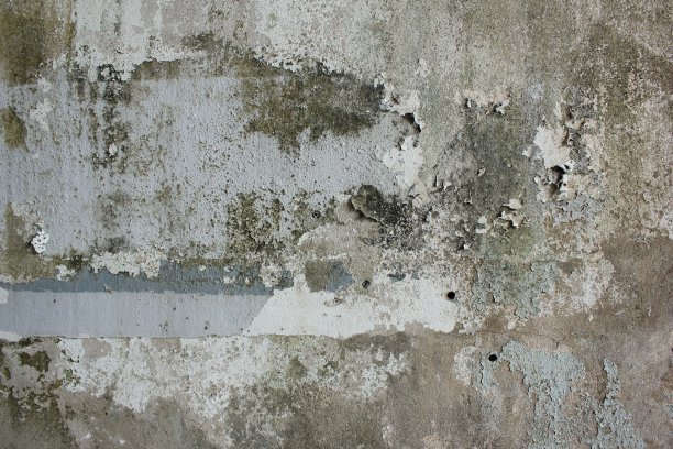 裂缝的墙上图片下载