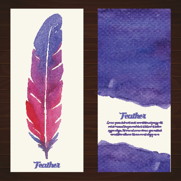 优雅的矢量背景与水彩绘制羽毛。图片下载