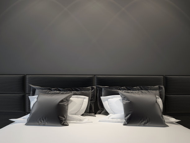 现代双卧室图片下载