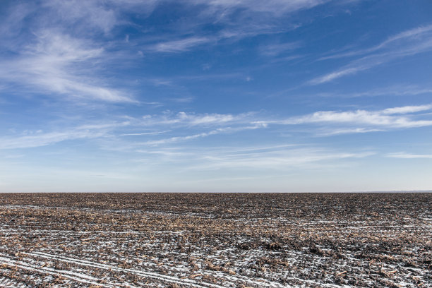 被雪覆盖的农田图片下载