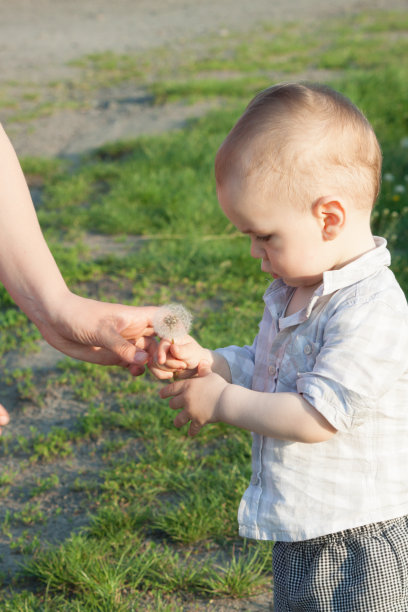 有蒲公英的孩子图片下载