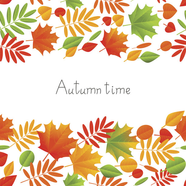 秋天颜色的叶子在白色的背景图片下载