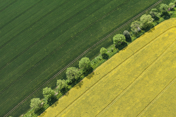 鸟瞰图的收获田图片下载