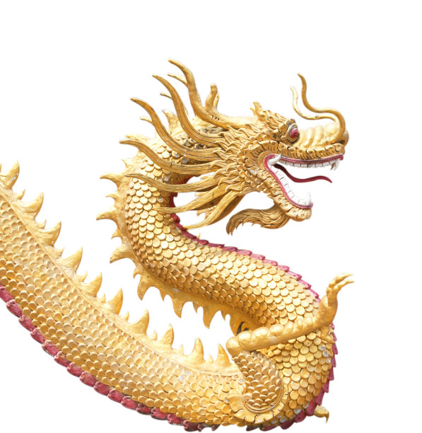 金龙巨龙图片下载