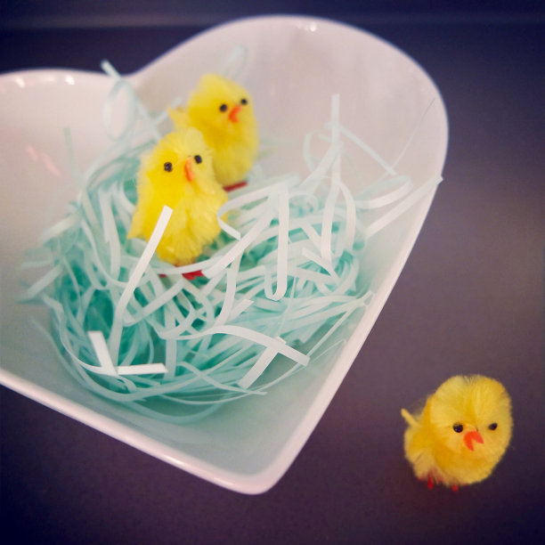 复活节小鸡图片下载