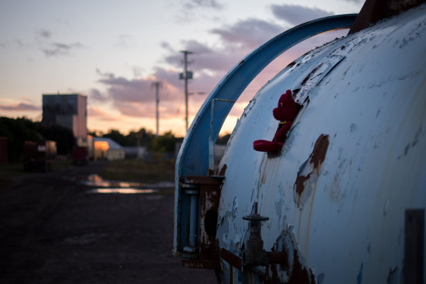 被遗忘的熊在垃圾场坦克图片下载