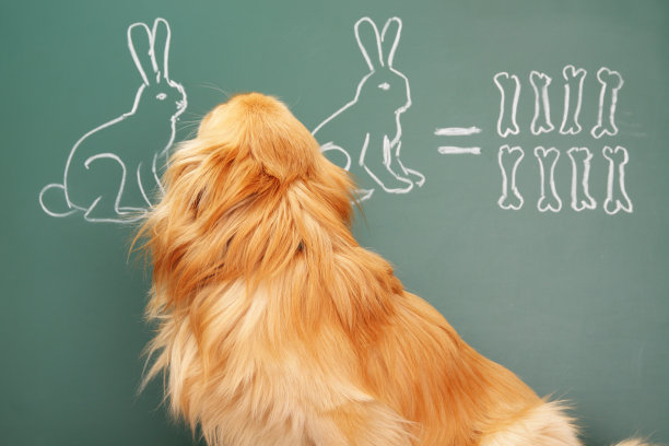 学习者图片下载