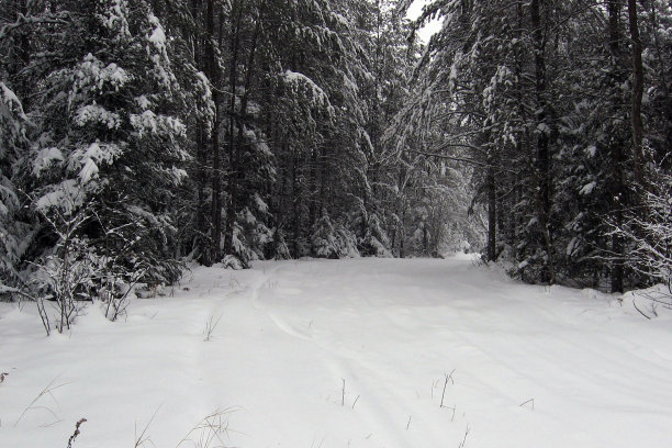雪道路图片下载