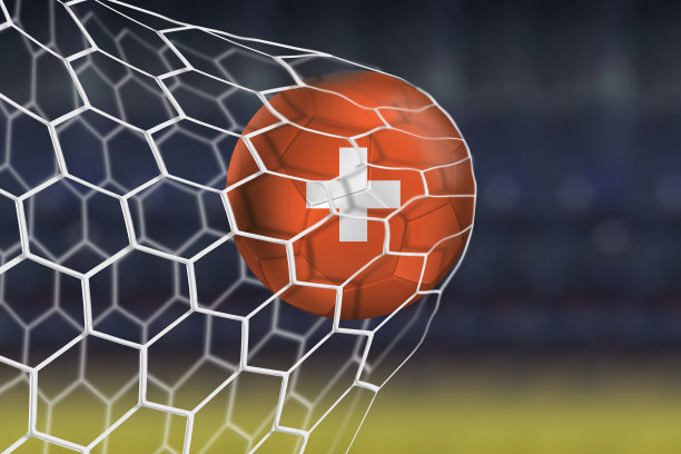 瑞士球飞进了网窝图片下载