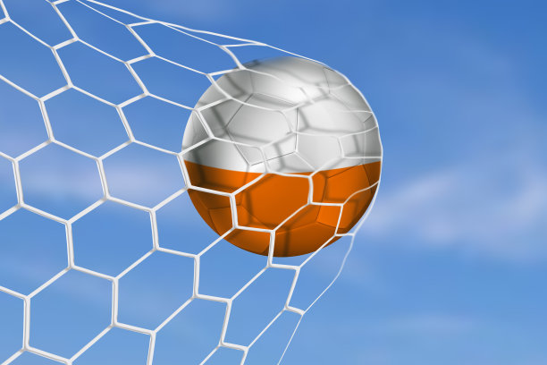 波兰球飞进了网窝图片下载