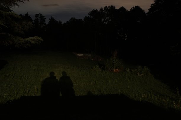 田野里的阴影图片下载