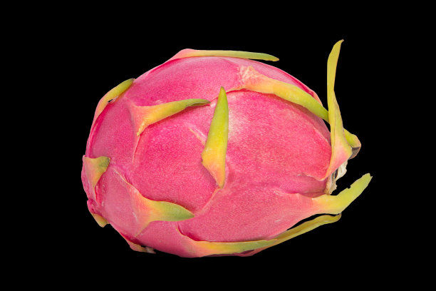 火龙果鲜果上隔黑图片下载