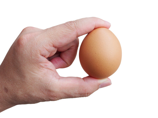 新鲜鸡蛋在手孤立在白色背景。图片下载