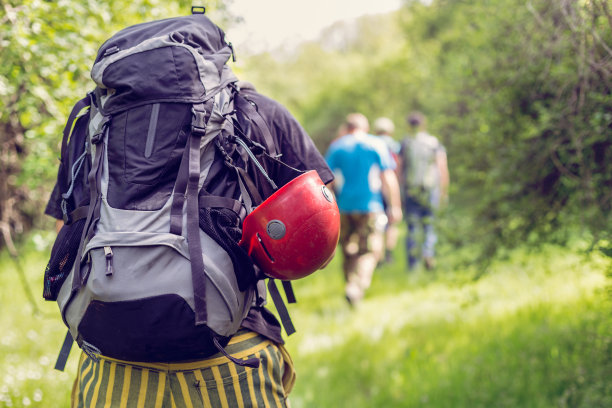 一组探险者穿过森林爬山图片下载