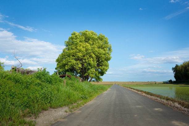 蓝天和路图片下载