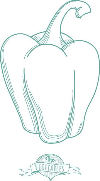 papica手绘草图(平描细线)图片下载