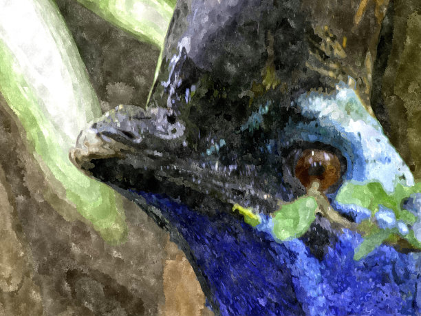 瓦特颜色的棺材。图片下载