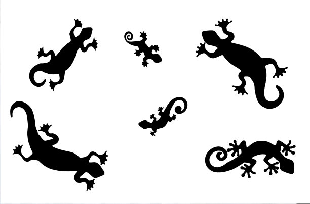 孤立的蜥蜴纹身剪影图片下载