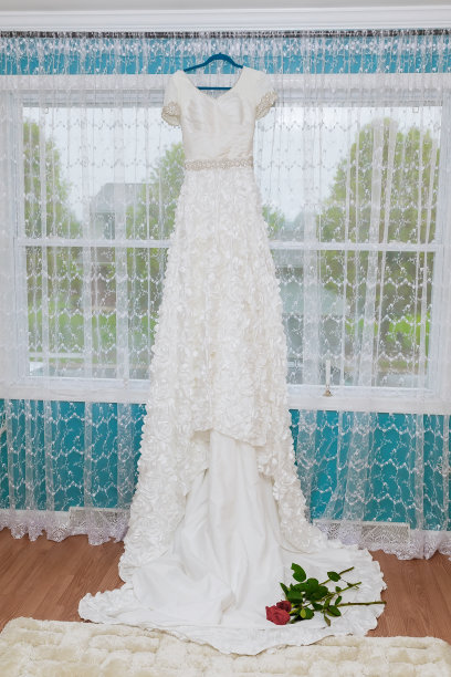 白色婚纱红玫瑰图片下载