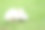 夏日里，小白兔坐在绿色的草地上素材图片